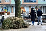 25-01-2025 Breda - Een maand na kerstmis zijn de zwerfkerstbomen nog niet uit het straatbeeld verdwenen. - Fotokrant